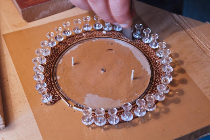Assembly of the rosette